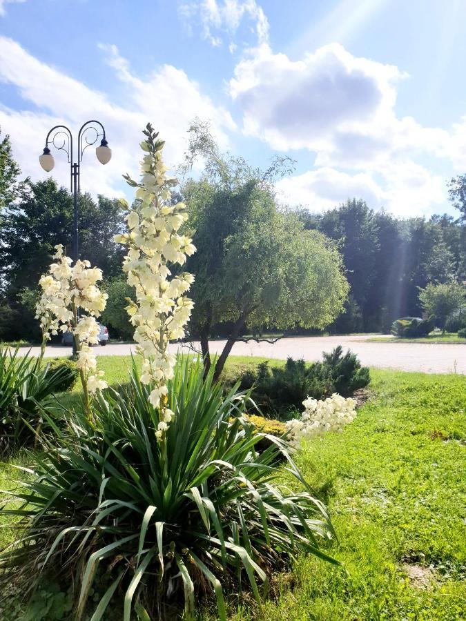 Willa Park Ostrowiec Świętokrzyski Exteriér fotografie