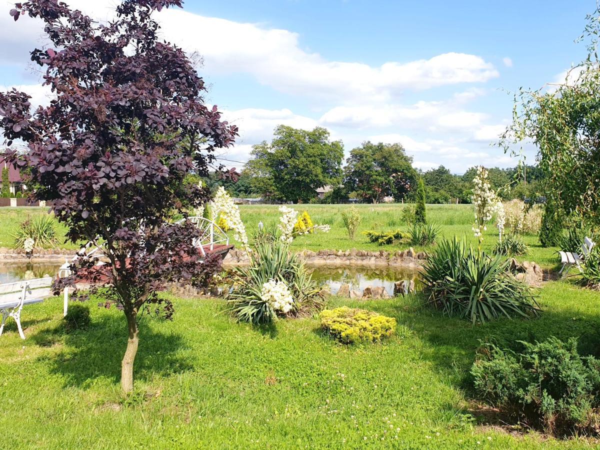 Willa Park Ostrowiec Świętokrzyski Exteriér fotografie