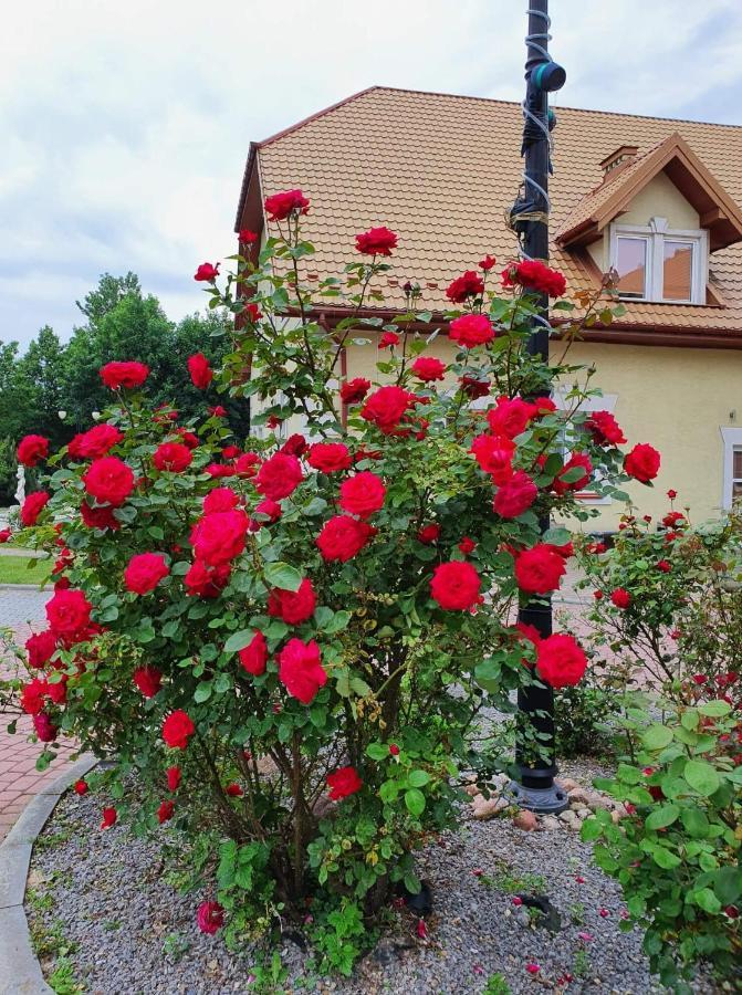 Willa Park Ostrowiec Świętokrzyski Exteriér fotografie