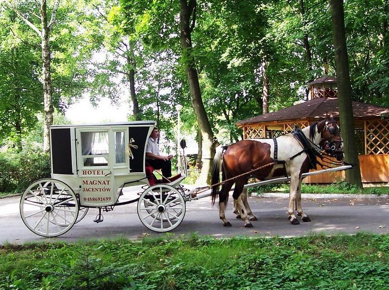 Willa Park Ostrowiec Świętokrzyski Exteriér fotografie